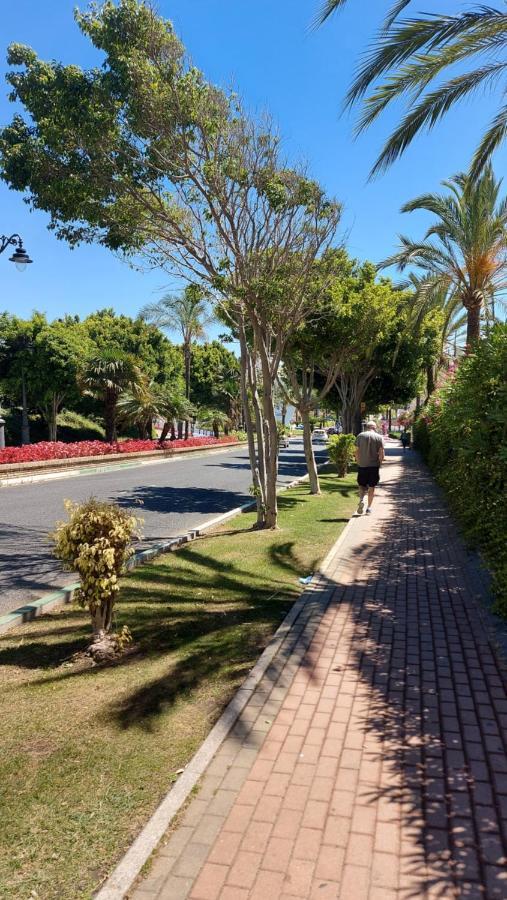 Puerto Paraiso Estepona port Exterior foto